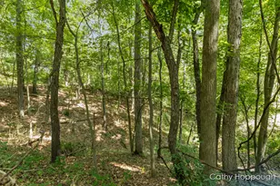 735 Prairie Creek Rd, Ionia, MI 48846 - Photo 71