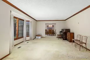 735 Prairie Creek Rd, Ionia, MI 48846 - Photo 19