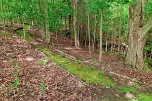 8424 3rd St, Onekama, MI 49675 - Photo 49