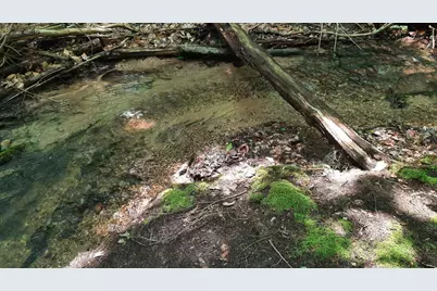 8424 Third Street, Onekama, MI 49675 - Photo 53