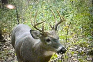 11265 E H J Ave, Galesburg, MI 49053 - Photo 37