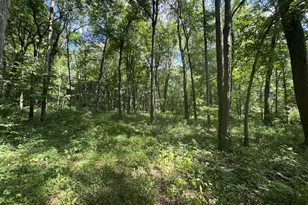 3280 3 1/2 Mile Rd, Athens, MI 49011 - Photo 7