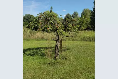 5435 State Road, Hillsdale, MI 49242 - Photo 67