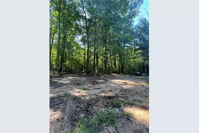 4464 Leckrone Road, Brethren, MI 49619 - Photo 19