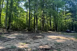 4464 Leckrone Rd, Brethren, MI 49619 - Photo 19