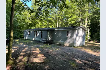 4464 Leckrone Road, Brethren, MI 49619 - Photo 1