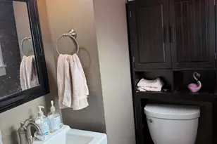 517 W Main St, Manchester, MI 48158 - Photo 19