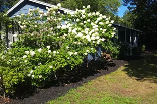 230 California Ave, North Muskegon, MI 49445 - Photo 7