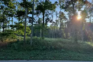 Tract 4 Dailey Rd, Edwardsburg, MI 49112 - Photo 1