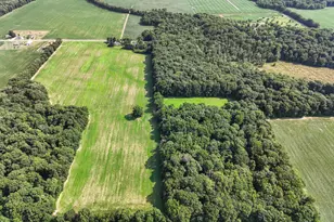 6475 Olive Branch Rd, Galien, MI 49113 - Photo 51