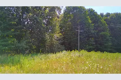 982 Stanton Road, Sherwood, MI 49089 - Photo 33