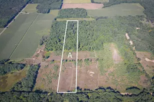 Parcel A N 168th Ave, Walkerville, MI 49459 - Photo 1