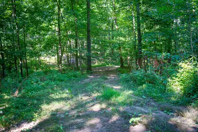 Parcel B N 168th Avenue, Walkerville, MI 49459 - Photo 29