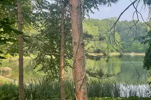 8050 Wilderness Trail NE, Ada, MI 49301 - Photo 63