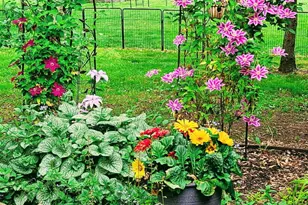 3584 W Maple Rd, Wixom, MI 48393 - Photo 15