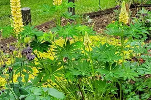 3584 W Maple Rd, Wixom, MI 48393 - Photo 17