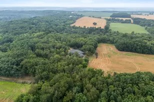 781 Hopkins Rd, Lyons, MI 48851 - Photo 97