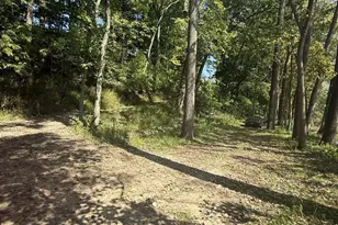 781 Hopkins Rd, Lyons, MI 48851 - Photo 107