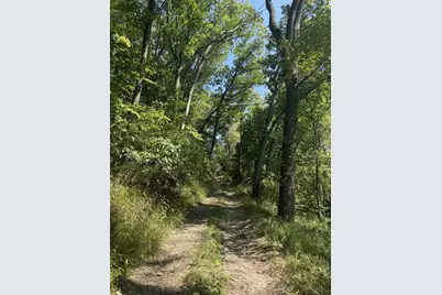 781 Hopkins Road, Lyons, MI 48851 - Photo 105