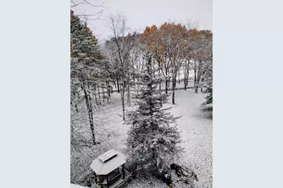 781 Hopkins Road, Lyons, MI 48851 - Photo 119