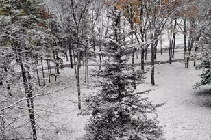 781 Hopkins Rd, Lyons, MI 48851 - Photo 119