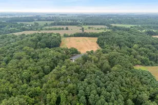 781 Hopkins Rd, Lyons, MI 48851 - Photo 95