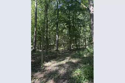 781 Hopkins Road, Lyons, MI 48851 - Photo 103