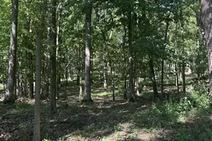 781 Hopkins Rd, Lyons, MI 48851 - Photo 103