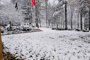 781 Hopkins Rd, Lyons, MI 48851 - Photo 117