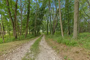 781 Hopkins Rd, Lyons, MI 48851 - Photo 19