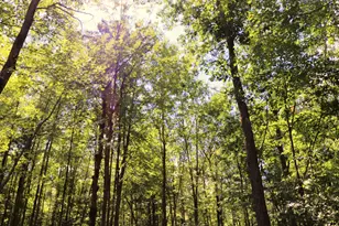 10757 Cedar Rd, Lake, MI 48632 - Photo 45