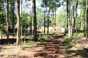 10757 Cedar Rd, Lake, MI 48632 - Photo 55