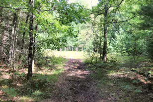10757 Cedar Rd, Lake, MI 48632 - Photo 53