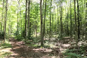 10757 Cedar Rd, Lake, MI 48632 - Photo 47