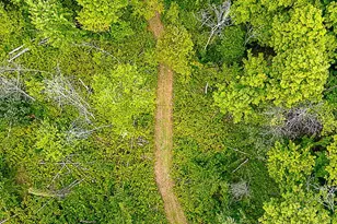 9905 52nd Ave, Allendale, MI 49401 - Photo 43