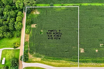 Vl Gibson Farms Drive #Parcel 9, Middleville, MI 49333 - Photo 1