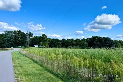 Vl Gibson Farms Drive #Parcel 9, Middleville, MI 49333 - Photo 9