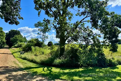 Vl Gibson Farms Drive #Parcel 9, Middleville, MI 49333 - Photo 3