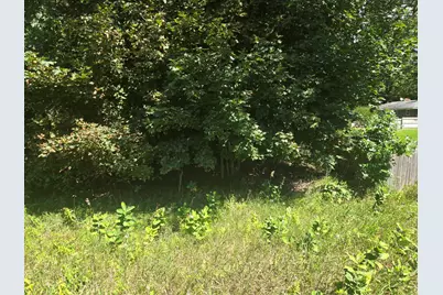 Vl Whitehall Road, Whitehall, MI 49461 - Photo 3