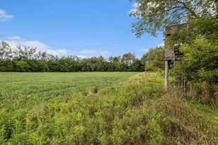 26871 J Dr S, Homer, MI 49245 - Photo 41