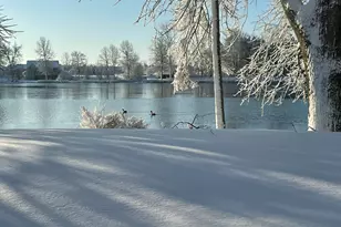 585 Norvell Beach Dr, Brooklyn, MI 49230 - Photo 3