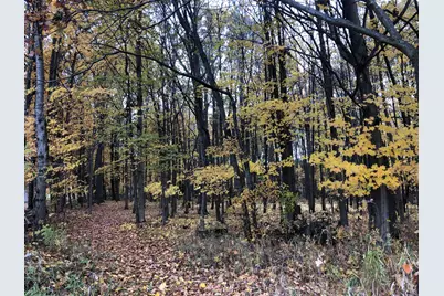 5057 N Bailey Road, Coral, MI 49322 - Photo 33