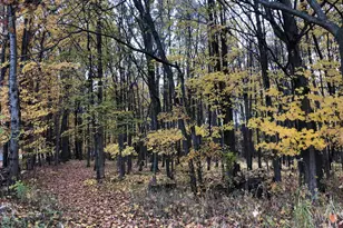 5057 N Bailey Rd, Coral, MI 49322 - Photo 33