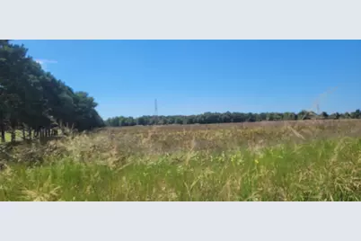 N 88th Ave Avenue, Pentwater, MI 49449 - Photo 5