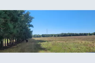 N 88th Avenue, Pentwater, MI 49449 - Photo 9