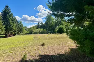 6685 Cedar Trce, Canadian Lakes, MI 49346 - Photo 1