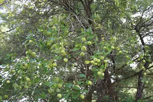 2838 W Trask Lake Rd, Barton City, MI 48705 - Photo 55