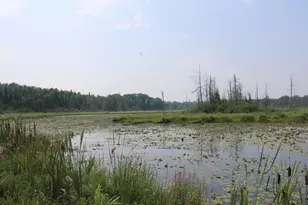 2838 W Trask Lake Rd, Barton City, MI 48705 - Photo 45
