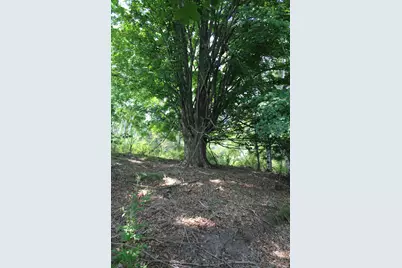 2838 W Trask Lake Rd, Barton City, MI 48705 - Photo 39