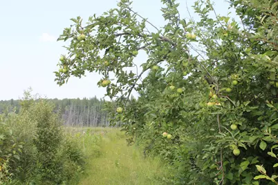 2838 W Trask Lake Rd, Barton City, MI 48705 - Photo 43